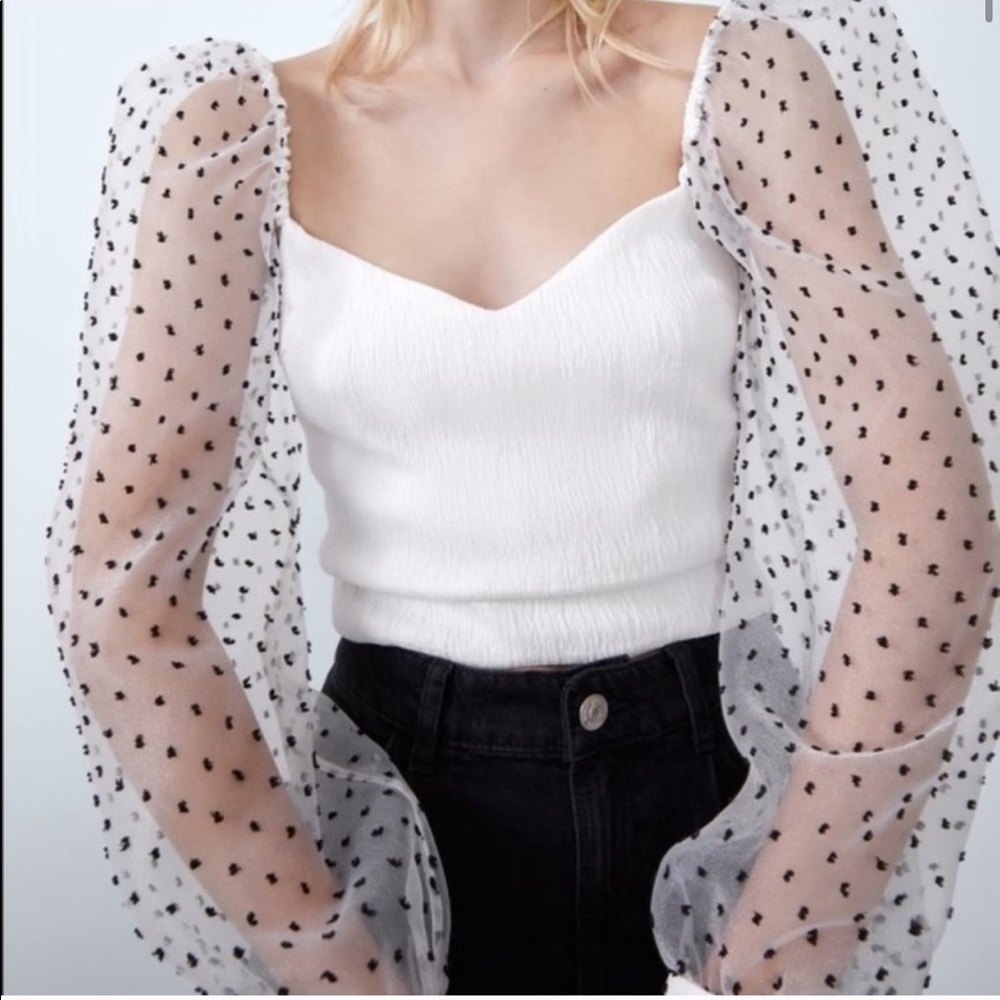 Zara Sheer Polka dot top NWT